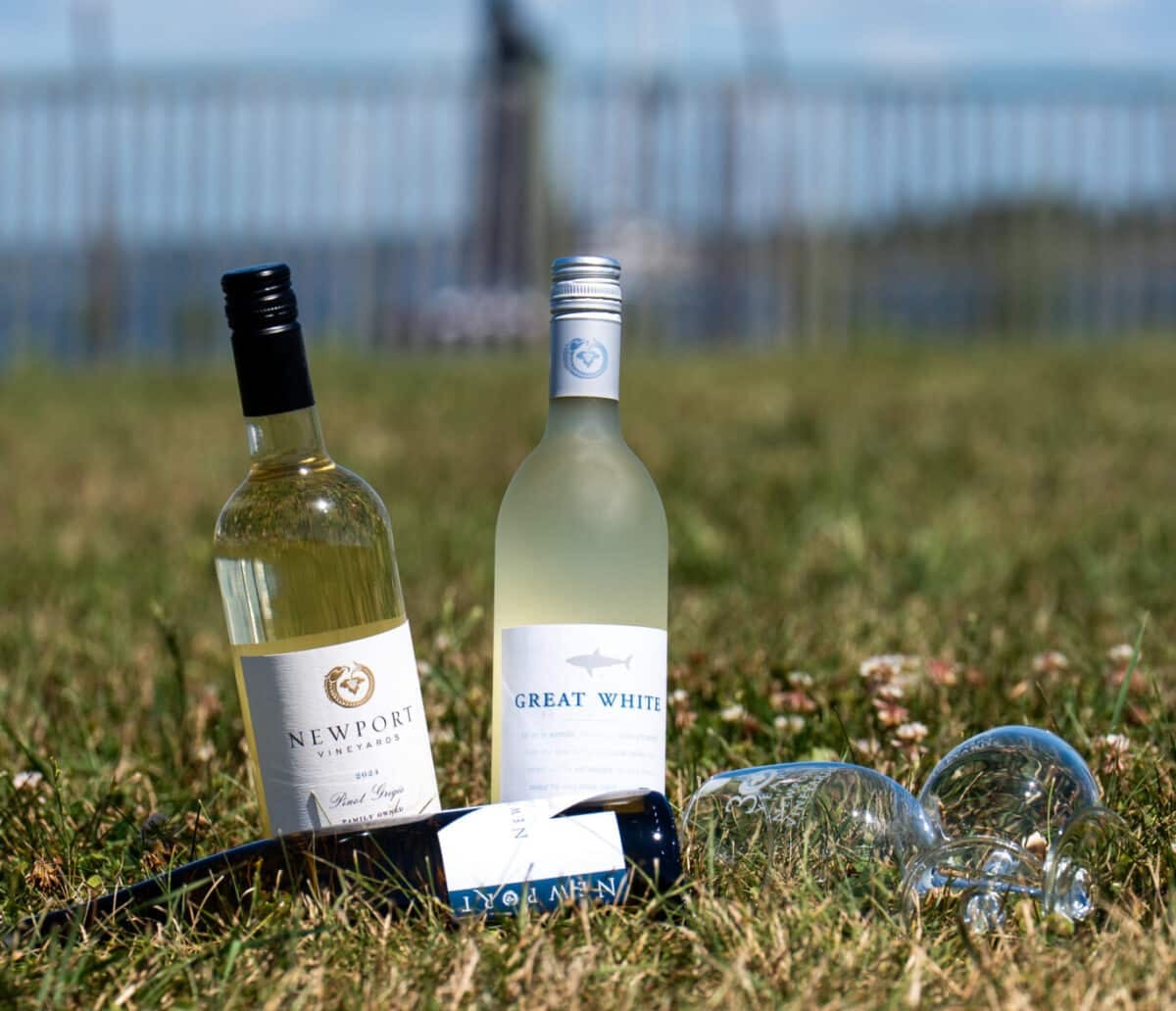 RI Vineyards: Discover Hidden Gems for Wine Lovers