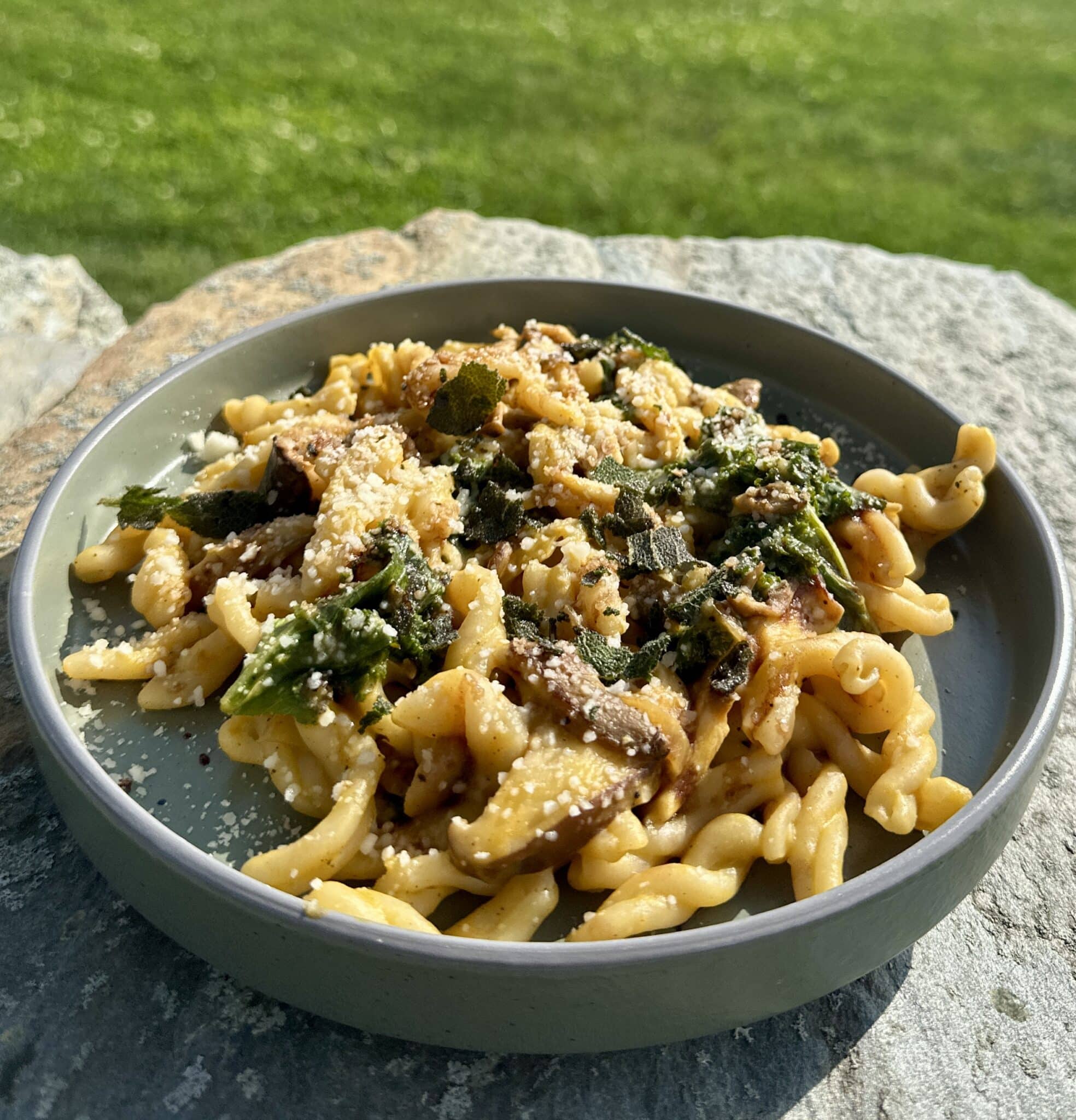 pumpkin gemelli